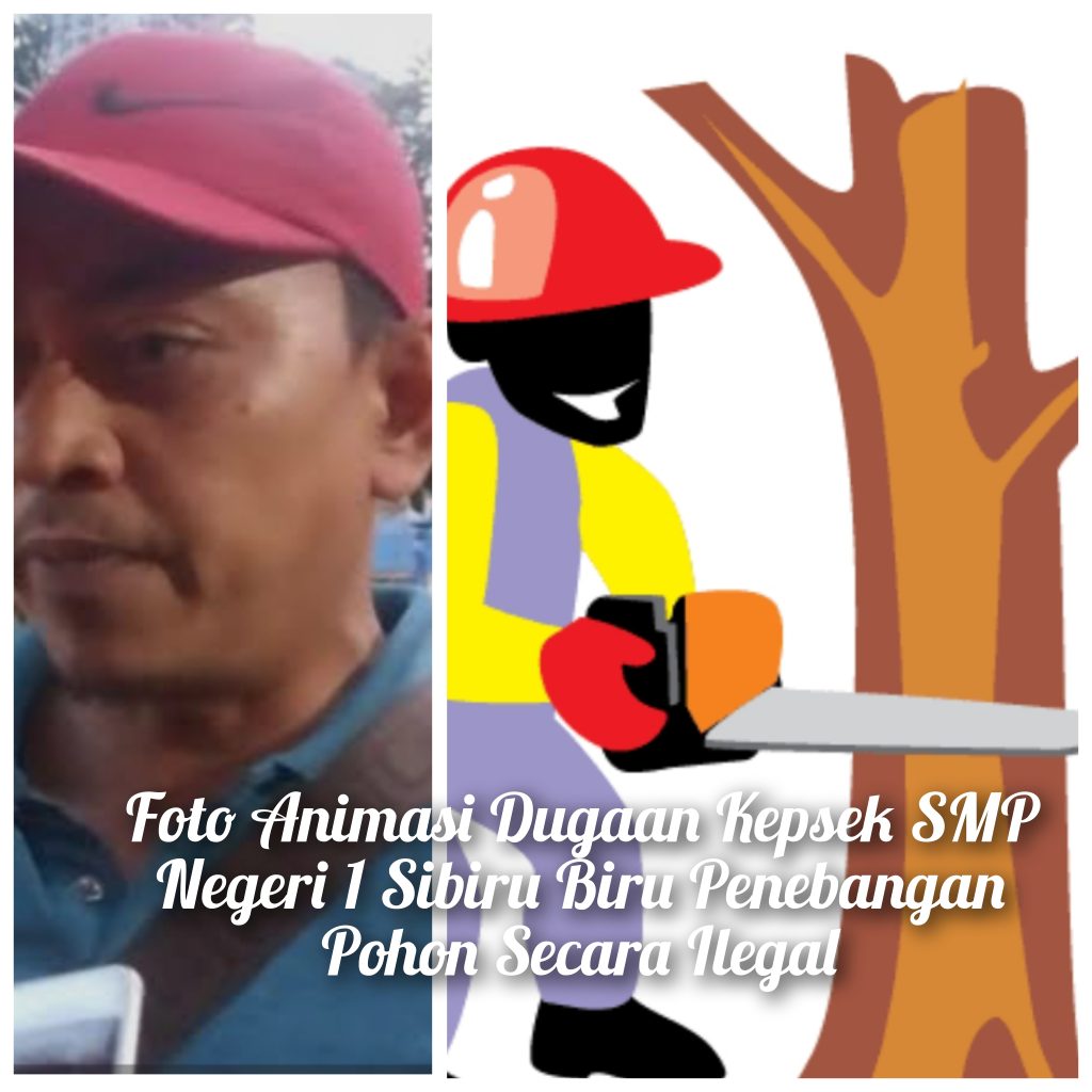 Johan Merdeka Aktifis Prodem Sumut ” Kita Akan Menyuratin APH Deliserdang Diduga Kepsek Tebang Pohon Mahoni di Halaman Sekolah SMP Negeri 1 Sibiru Biru