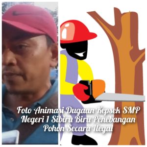 Johan Merdeka Aktifis Prodem Sumut ” Kita Akan Menyuratin APH Deliserdang Diduga Kepsek Tebang Pohon Mahoni di Halaman Sekolah SMP Negeri 1 Sibiru Biru