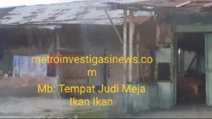 Lapor Panglima Mabes TNI..!!!! Diduga Oknum TNI Peria Berinisial Raka Membeckingi Judi Meja Ikan di Jalan Jalan Suka Raja