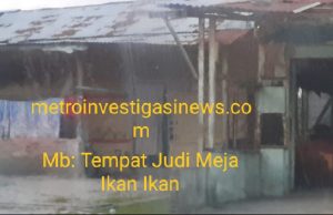 Lapor Panglima Mabes TNI..!!!! Diduga Oknum TNI Peria Berinisial Raka Membeckingi Judi Meja Ikan di Jalan Jalan Suka Raja