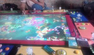 Gawat…!!! Diduga Polresta Deliserdang Ternak Mafia Judi Meja Ikan di Tiga Titik Kecamatan STM Hilir