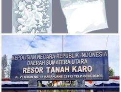 Ngeri Kali..!!! Diduga Bandar Sabu Pria Berinisial T di Bawah Kendali Laucimba Mengendalikan Sabu di Wilayah Hukum Polres Tanah Karo