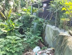 Lapor Pak Bobby Afif Nasution…!!! Di Dusun I dan Dusun II Beringin, Kondisi Jalan Rusak Masih Menjadi Pemandangan yang Akrab Bagi Warga