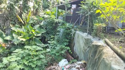 Lapor Pak Bobby Afif Nasution…!!! Di Dusun I dan Dusun II Beringin, Kondisi Jalan Rusak Masih Menjadi Pemandangan yang Akrab Bagi Warga