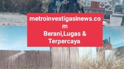 Gawat..!!! Diduga Mobil Truck Tuncky Biru Putih Keluar Masuk di Tempat Gudang Penimbunan BBM Ilegal